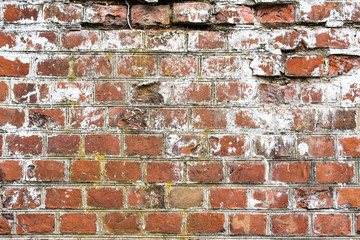 Old brick wall background texture