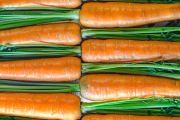 Fresh carrots densely packed near each other pattern. Carrot texture for background