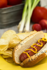 Hot Dog Cookout Dinner