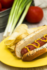 Picnic Hot Dog On Bun With Mustard