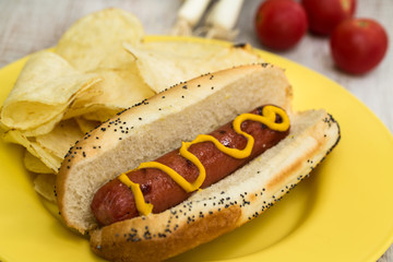 Grilled Hot Dog With Mustard