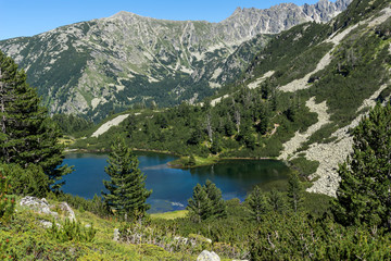 Amazing Landscape with Fish Vasilashko lake, Pirin Mountain, Bulgaria
