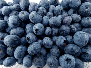 Blueberries macro isolated on white background