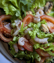 salad. japanese food.