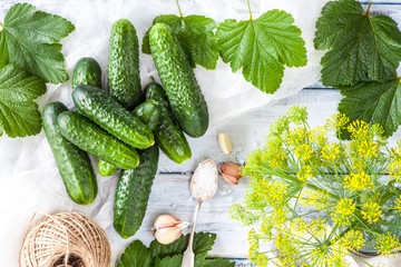 Young green small cucumbers for pickling. Marinated and canned food. Organic fresh vegetables in high key on light wooden background. Preparation for canning. Summer Pickles. Top view.
