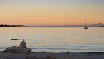 A gray haired man with back to camera wearing a beige jacket sitting on driftwood. He is looking at the sailboats on the bay at sunset.