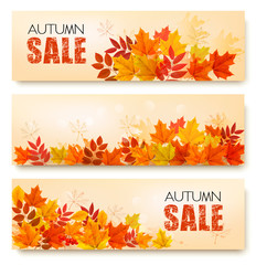 Naklejka na ściany i meble Set Of Three Autumn Sale Banners With Colorful Leaves And Berries. Layered Vector