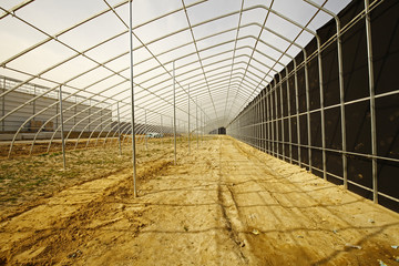 Obraz premium Is constructing the modern shed vegetables