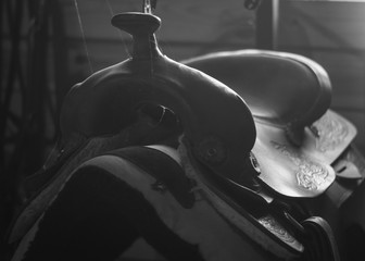 Saddle in the Shadows