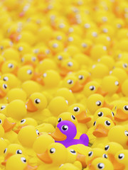 Unique purple toy duck among many yellow ones. Standing out from crowd, individuality and difference concept