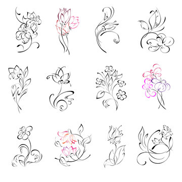 flowers 13. SET. stylized flowers in black lines on a white background. SET