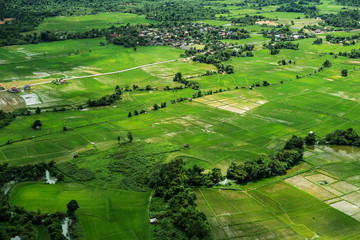 Landscaped high angle view of rice field in countryside Vang Vieng, Laos