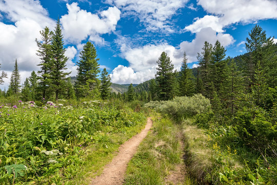 Fototapeta Tourist trail in the Hamar-Daban mountains