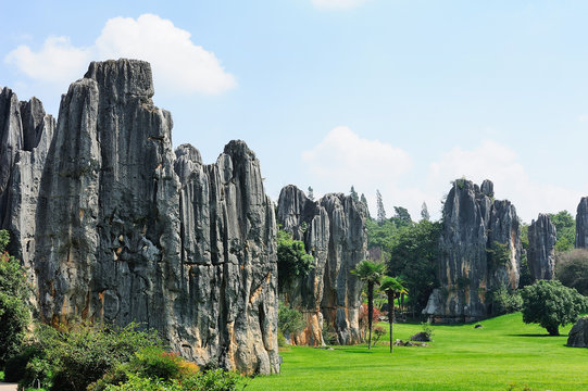 Stone Forrest Park scenery,Yunnan Province,China.