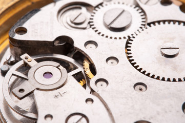 Detail of watch machinery on the table. 