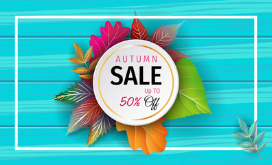 Autumn Sale banner. Autumn orange and yellow, red fall leaves frame on wood, wooden board background, top view vector, advertising wallpaper, gift card design. Autumn discount 50%.