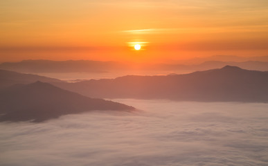 Fototapeta na wymiar Sunrise landscape of foggy and cloudy mountain valley Doi Pha Tang chiang rai thailand