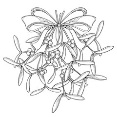 Vector bunch with outline Mistletoe and ornate bow with ribbon isolated on white background. Leaves, berry and branch of Mistletoe in contour style for Christmas winter design or coloring book.