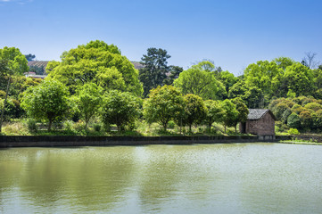 The countryside scenery in summer 