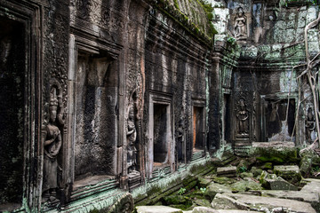 Fototapeta na wymiar Ta Prohm temple ruins hidden in jungles, Siem Riep, Cambodia