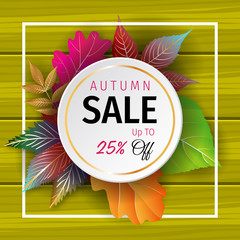 Autumn Sale banner. Autumn orange and yellow, red fall leaves frame on wood, wooden board background, top view vector, advertising wallpaper, gift card design. Autumn discount 25%.