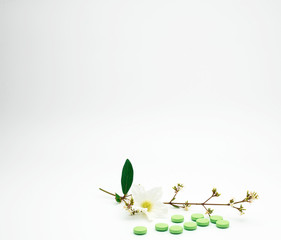 Green vitamin and supplement tablet pills with flower and branch on white background with copy space.