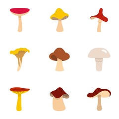 Fresh mushroom icon set, flat style