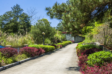 The countryside road scenery 