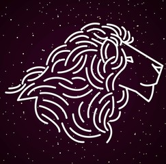 zodiac constellation horoscope sign leo lion in sky