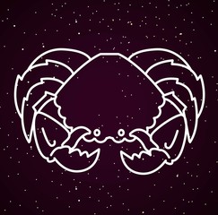 zodiac constellation horoscope sign cancer crab in sky