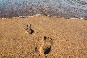 Footprints in wet sand of beach