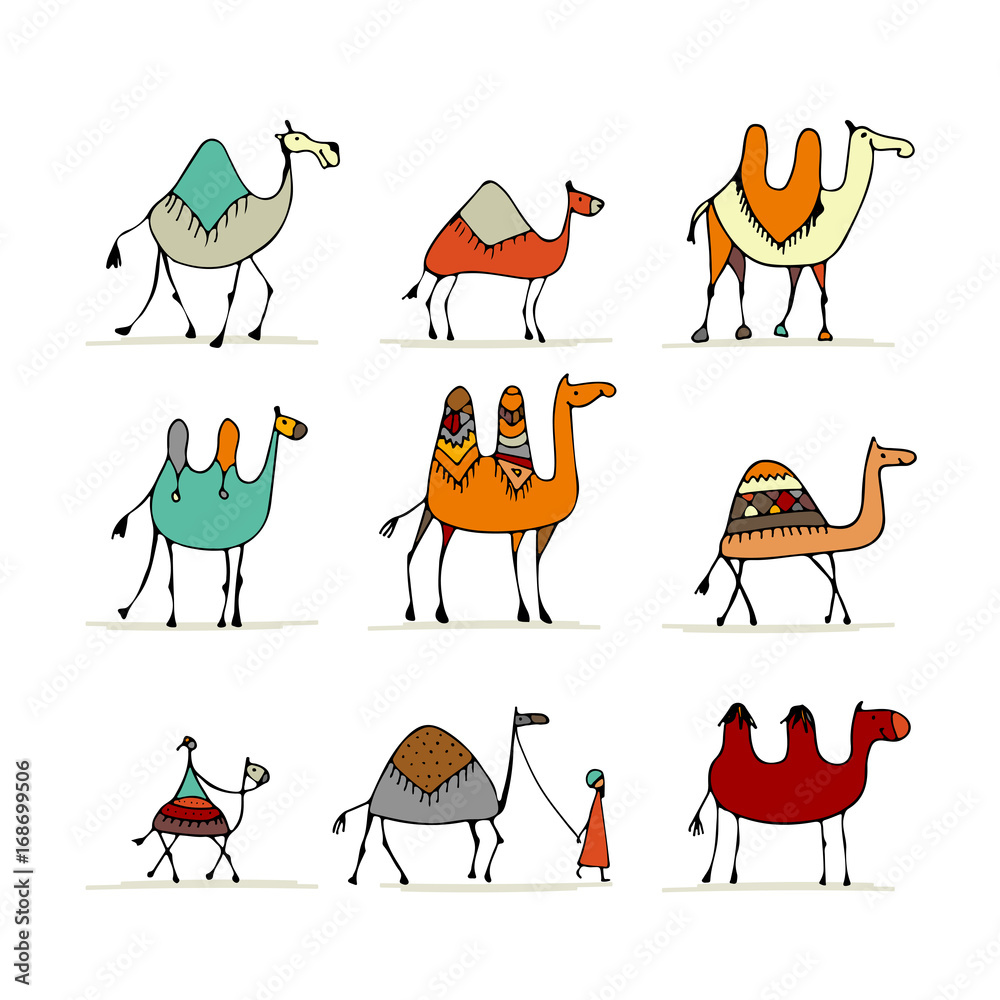 Poster camel set, sketch for your design