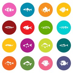 Cute fish icons many colors set