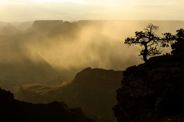 Rainstorm at the Grand Canyon