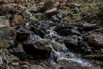 Mountain Spring