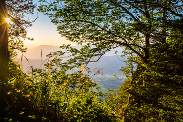 Obraz premium Montée au Molard Noir