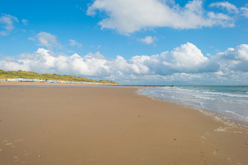 Sandy beach along a sea in sunlight in summer