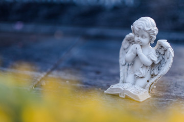 Engelchen kniet auf einem Grab, gelbe Blumen im Vordergrund