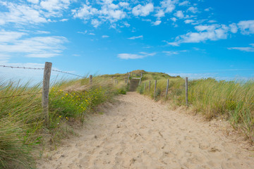 Fototapeta na wymiar Sand dunes below a blue cloudy sky in summer