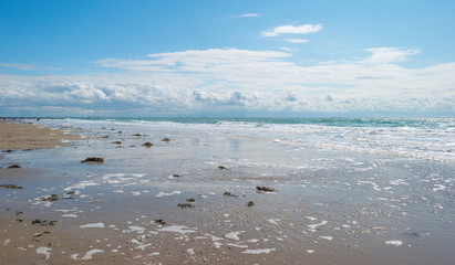 Fototapeta na wymiar Sandy beach along a sea in sunlight in summer