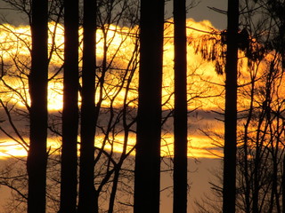Couch&eacute; de soleil en foret