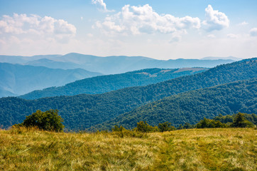 grassy hillside on high altitude ridge in autumn