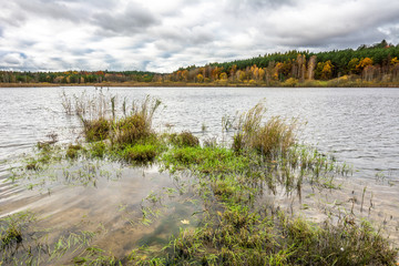 Cloudy autumn landscape with forest over lake