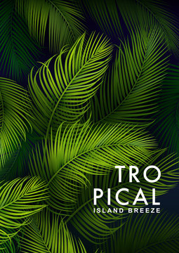 Tropical Palm Background. Summer Illustration. 
