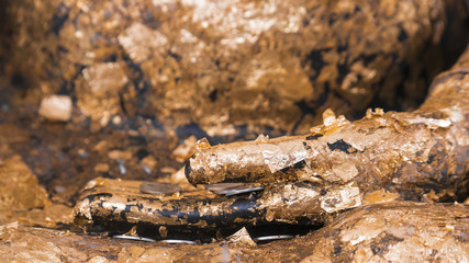 Hand of Buddha statue