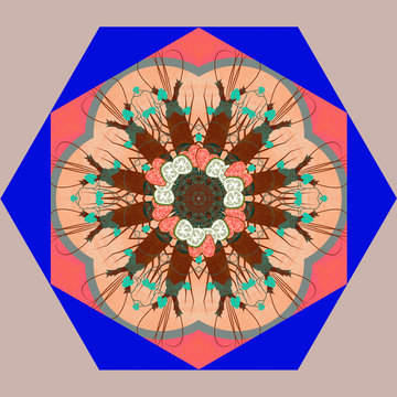 Food kaleidoscope with crayfish, cucumber and heart tomatoes