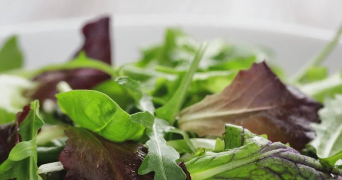 mesclun mix salad in white bowl