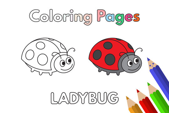 Cartoon Ladybug Coloring Book
