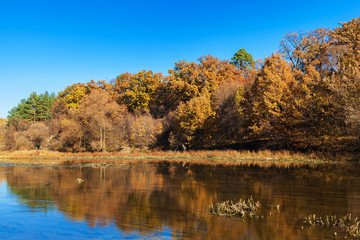 Autumn trees along a calm river.