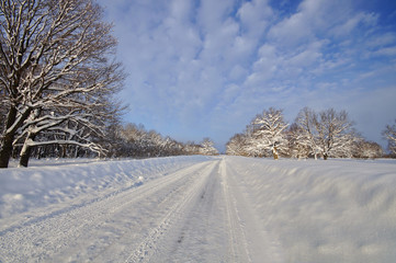 Photo of a snowy winter in a Russian village